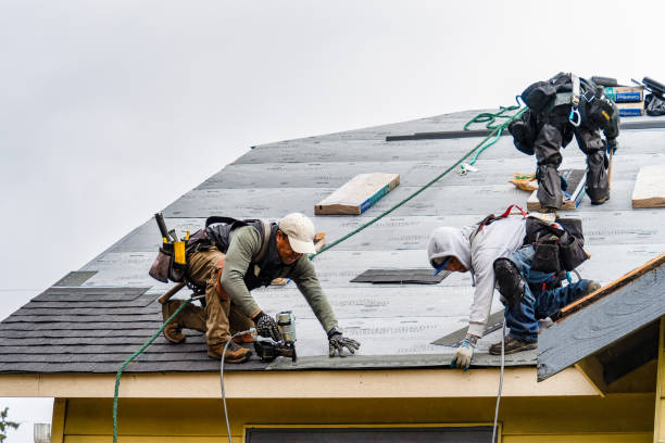 Professional Gutter Installation technician working in Belmont, TX